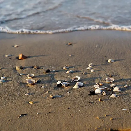 Bright Fllat Near The In *