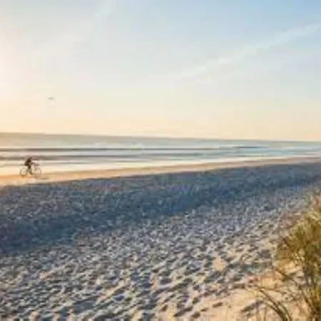 Bright Fllat Near The In Bibione